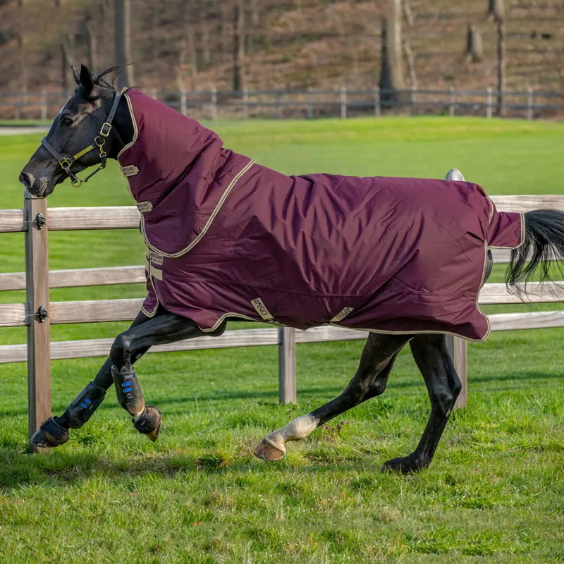 Horseware Amigo Hero 600D Ripstop 100g Plus Turnout Rug in Fig